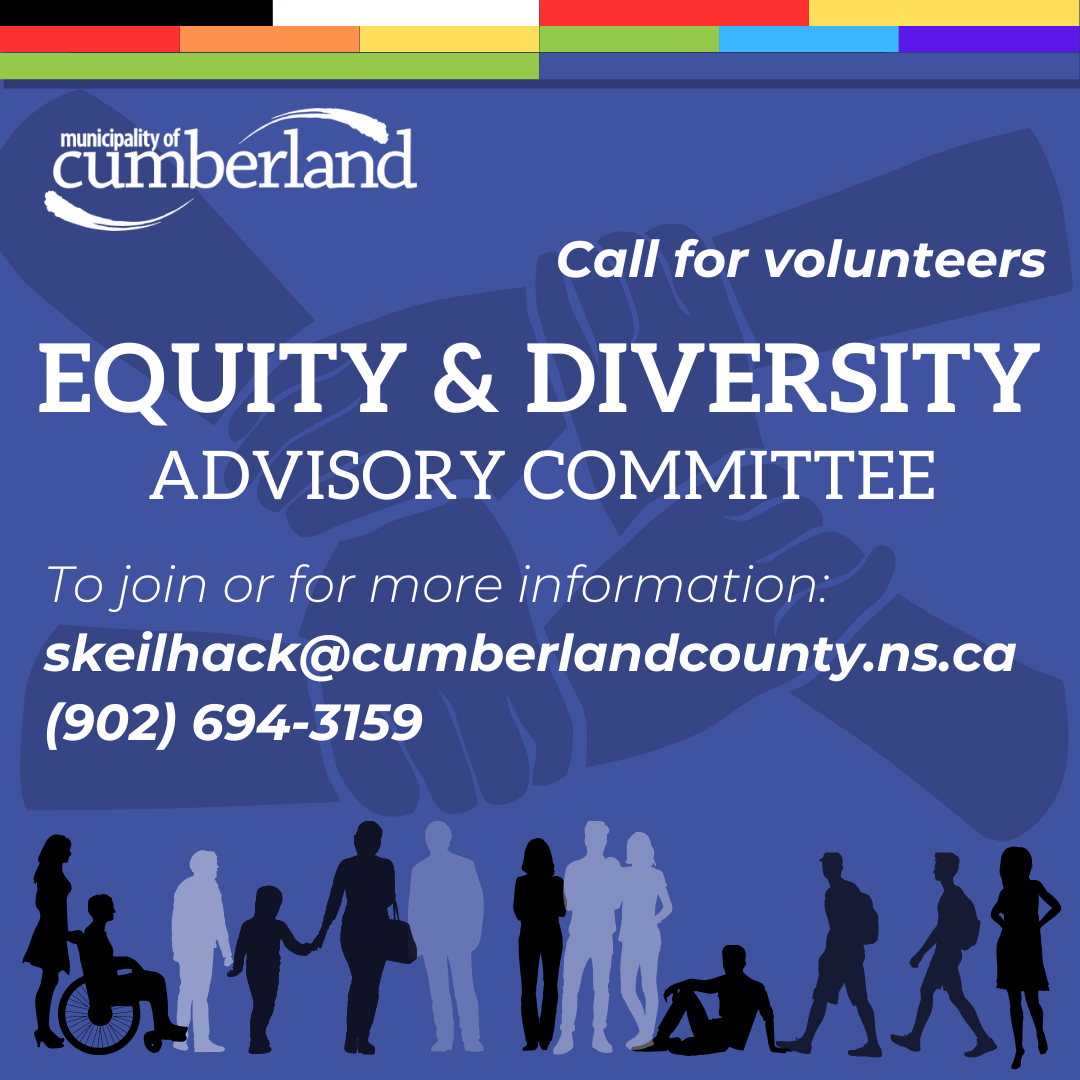 decorative infographic about the municipal equity committee. See caption for details