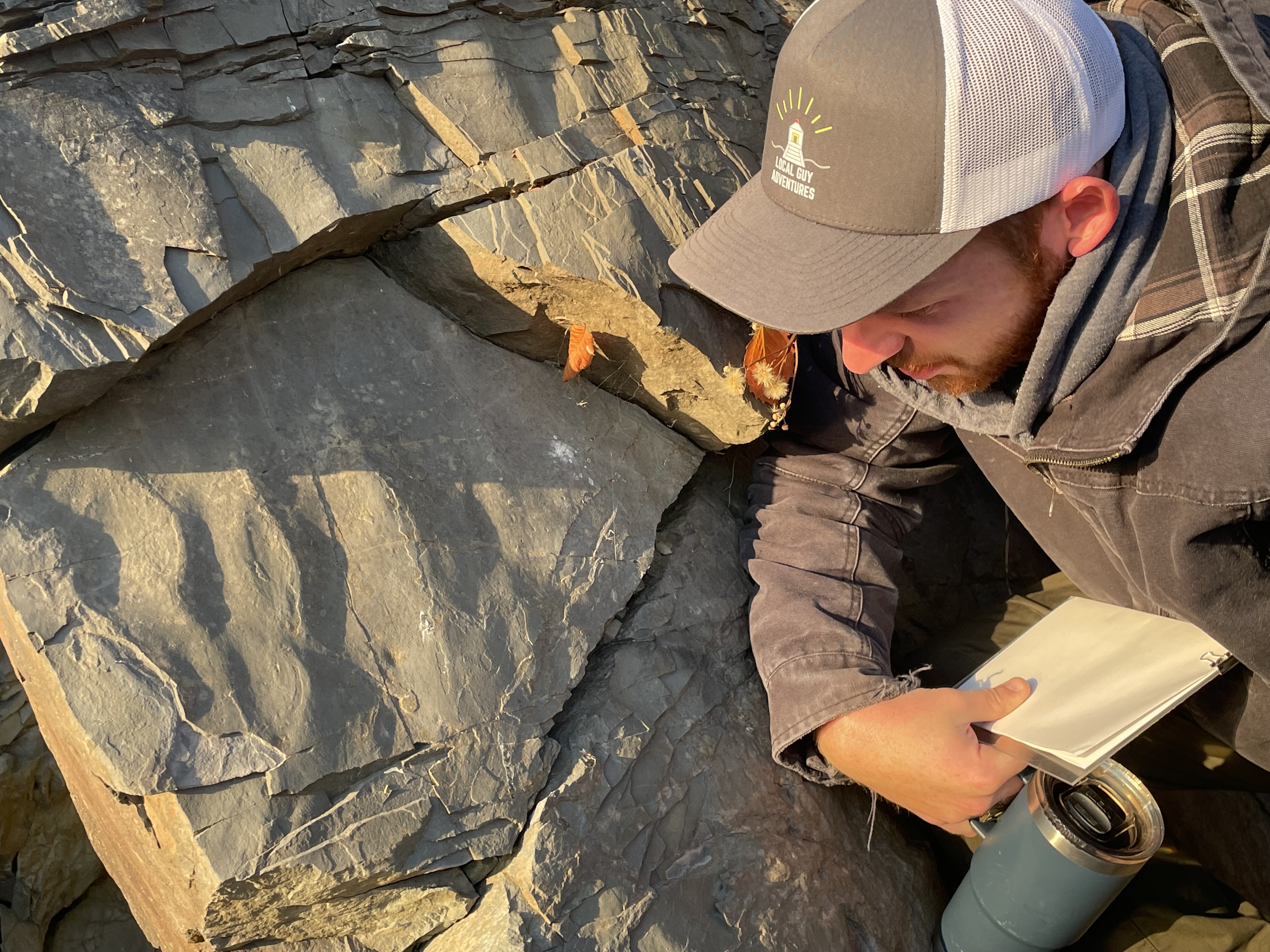 A man looks at fossilized footprints on the beach at Spencer's Island.
