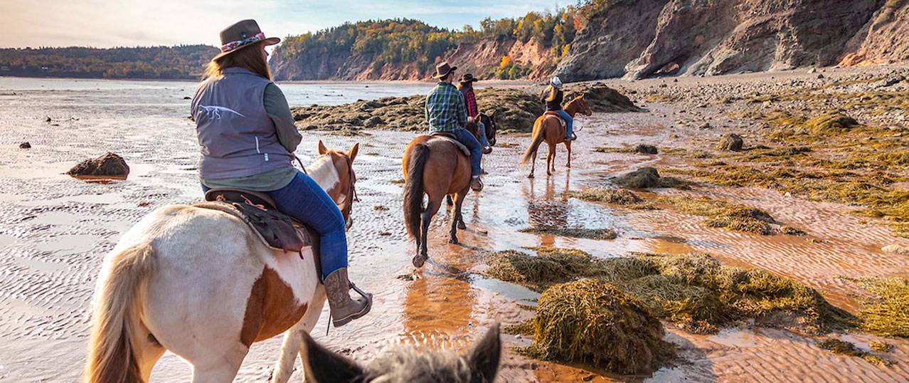 riding horses along the shore