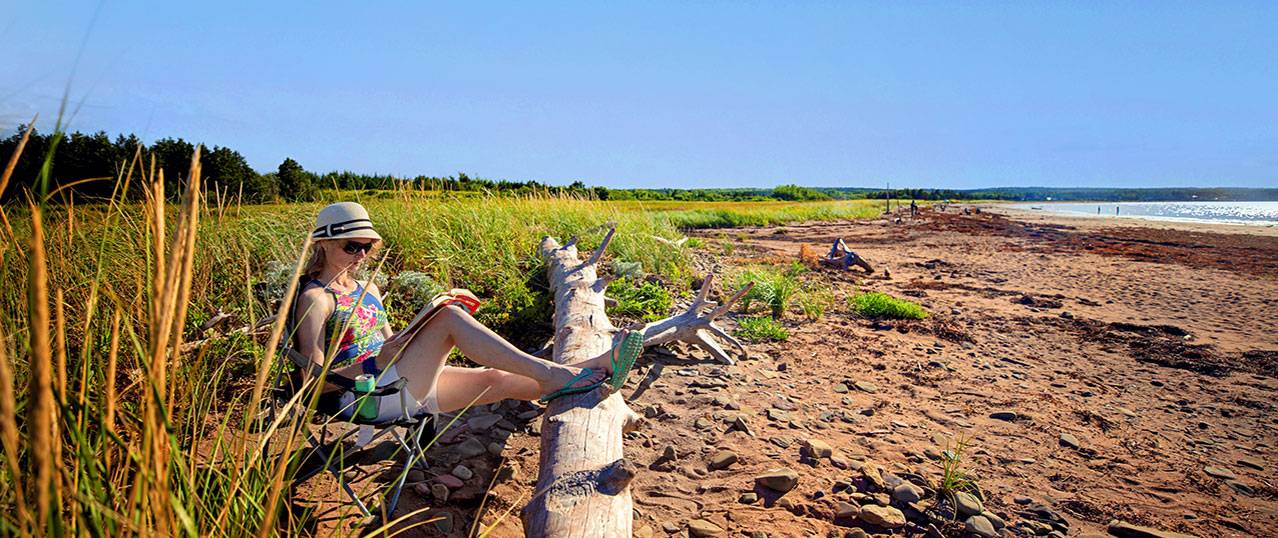 reading at the beach