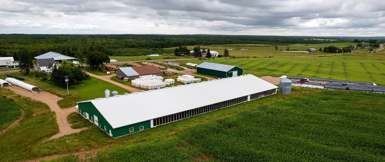 Dairy Farm in Shinimicas